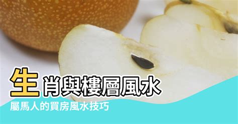 屬馬適合的樓層